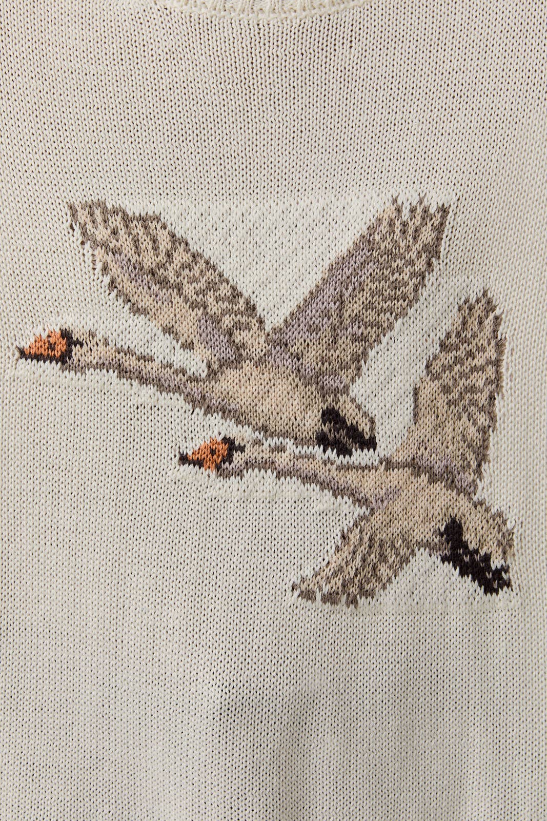 Flying Feathers Sweater