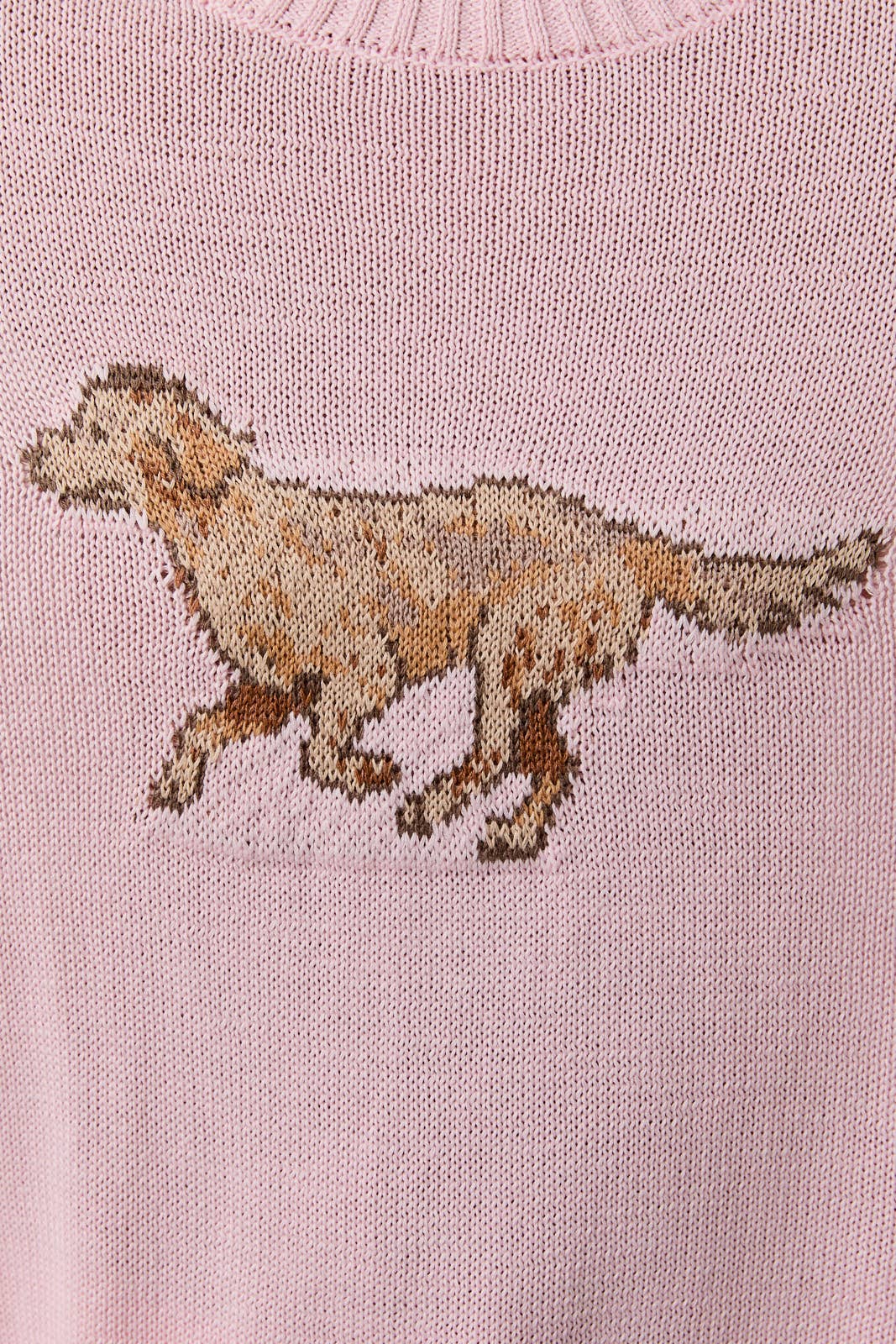 Golden Retriever Sweater