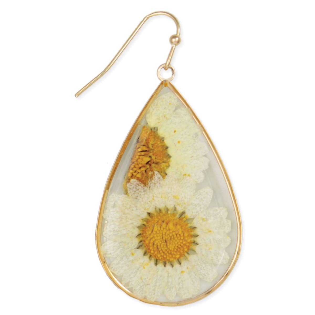 Daisy Dried Flower Earrings