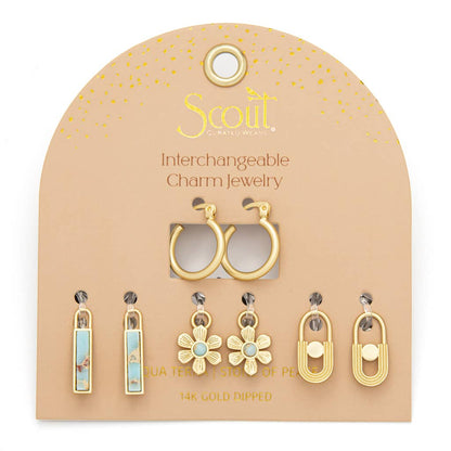 Interchangeable Charm Earring Set