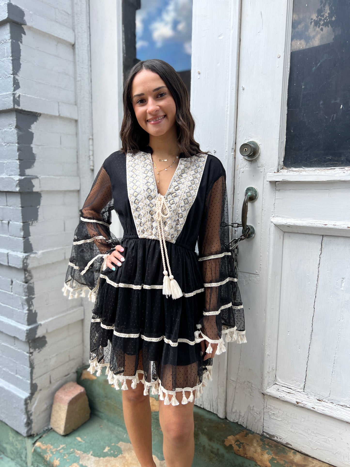 My Anthem Mini Dress