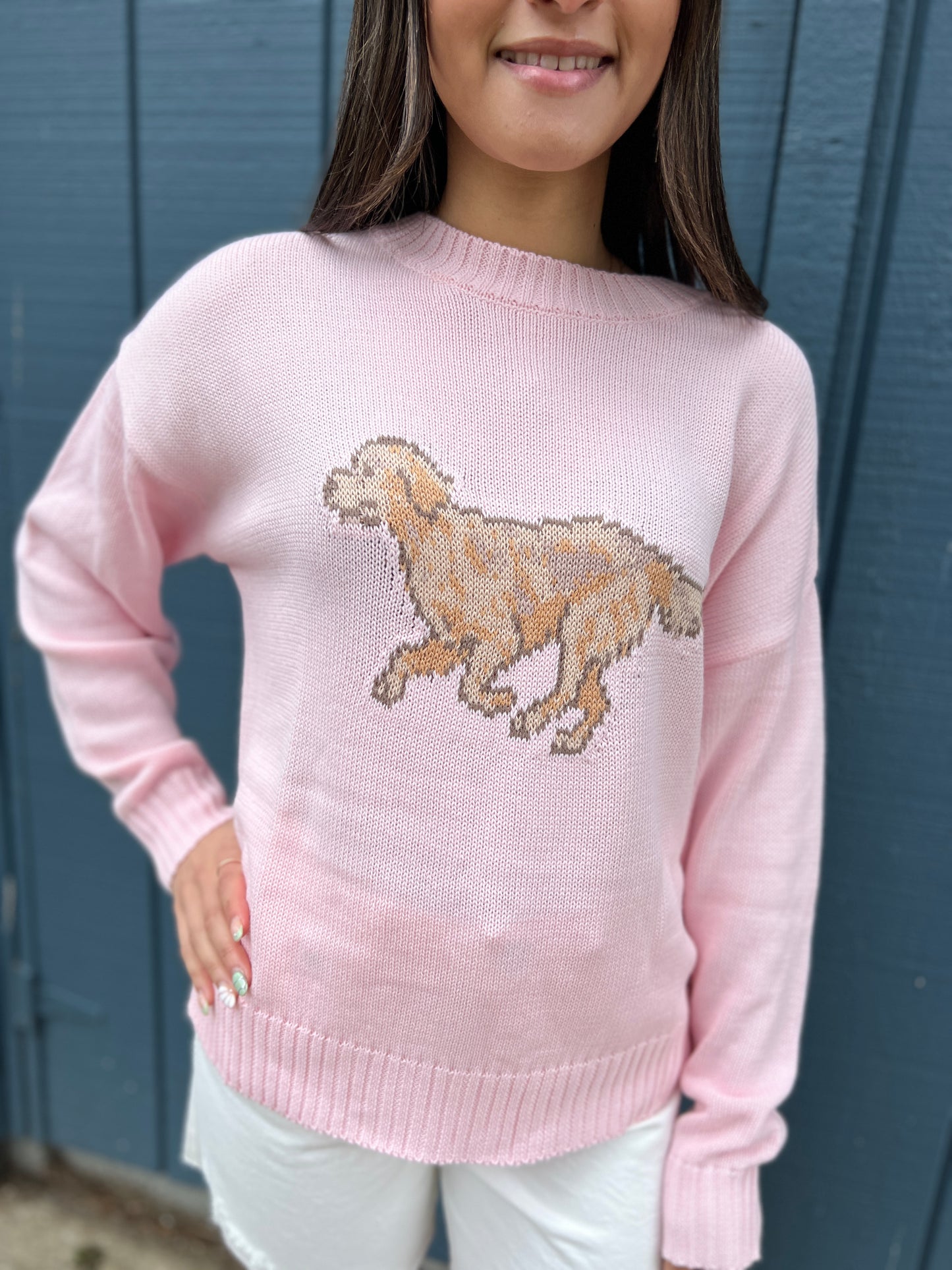 Golden Retriever Sweater