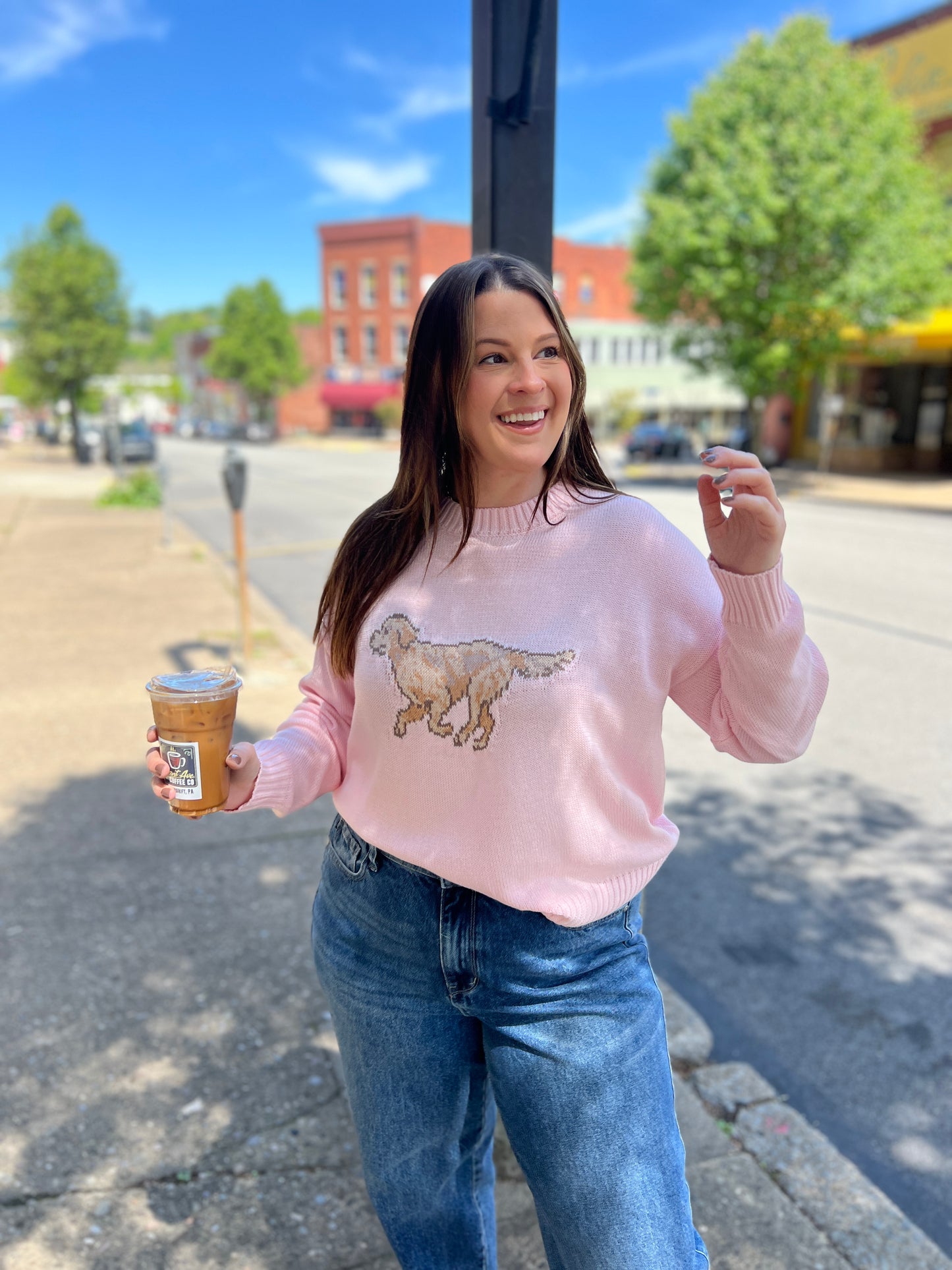 Golden Retriever Sweater