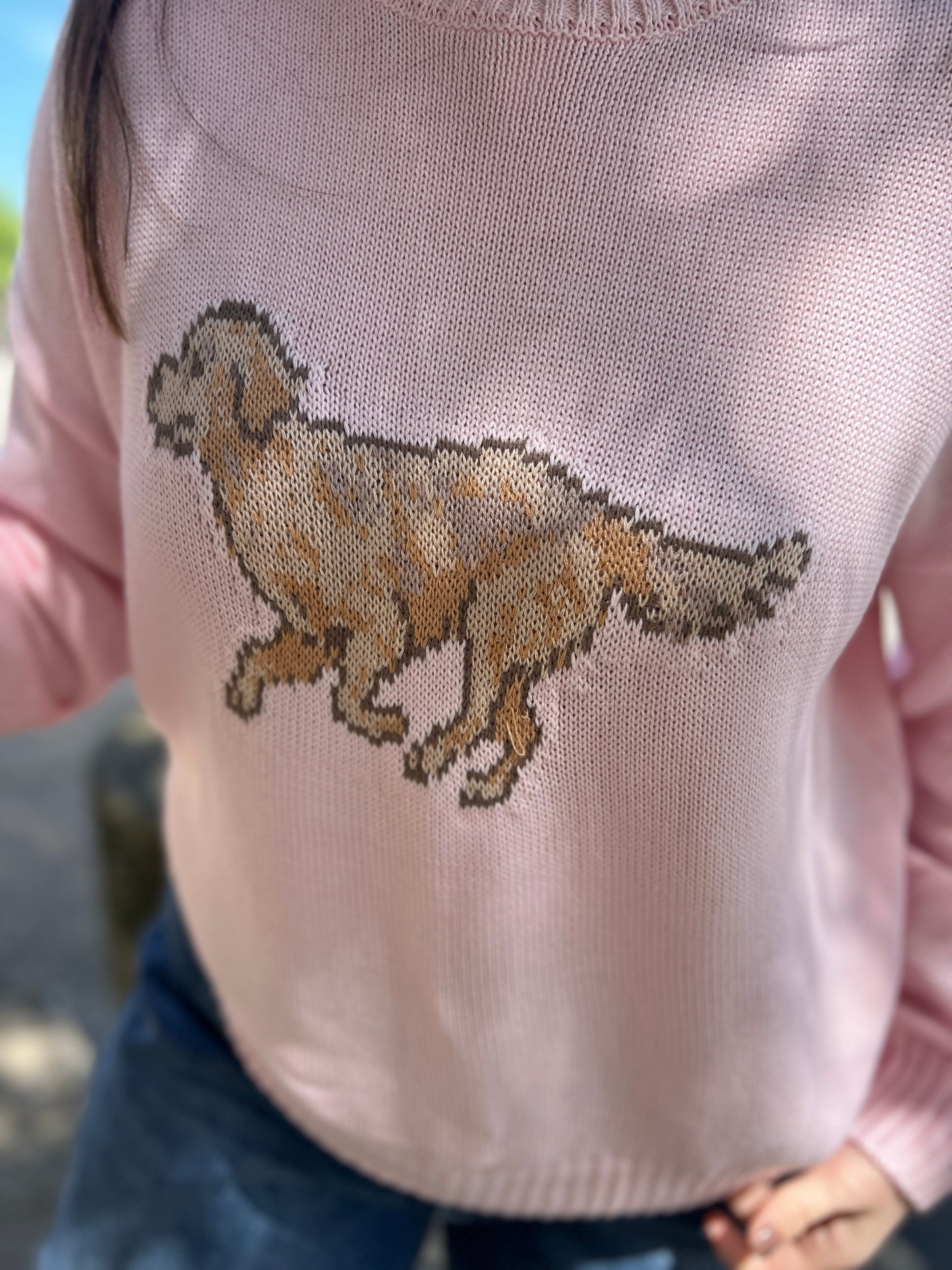 Golden Retriever Sweater