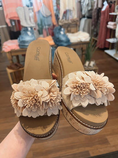 Corkys Wildflower Wedges
