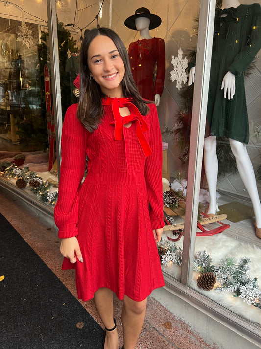 *Final Sale* She's Fancy Mini Dress